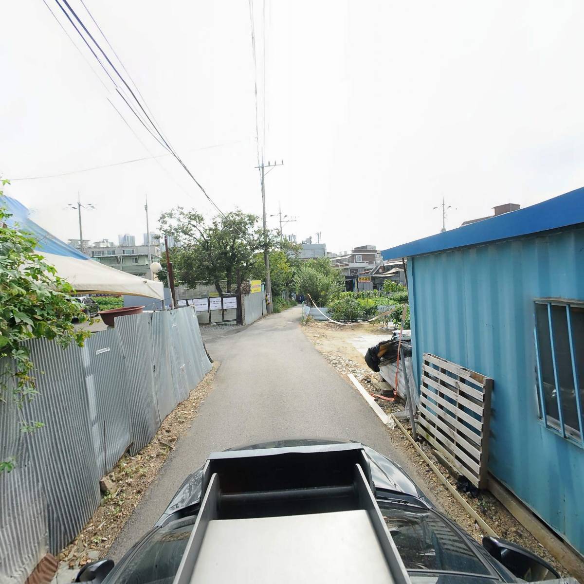 시흥시야생동식물관리협회_4