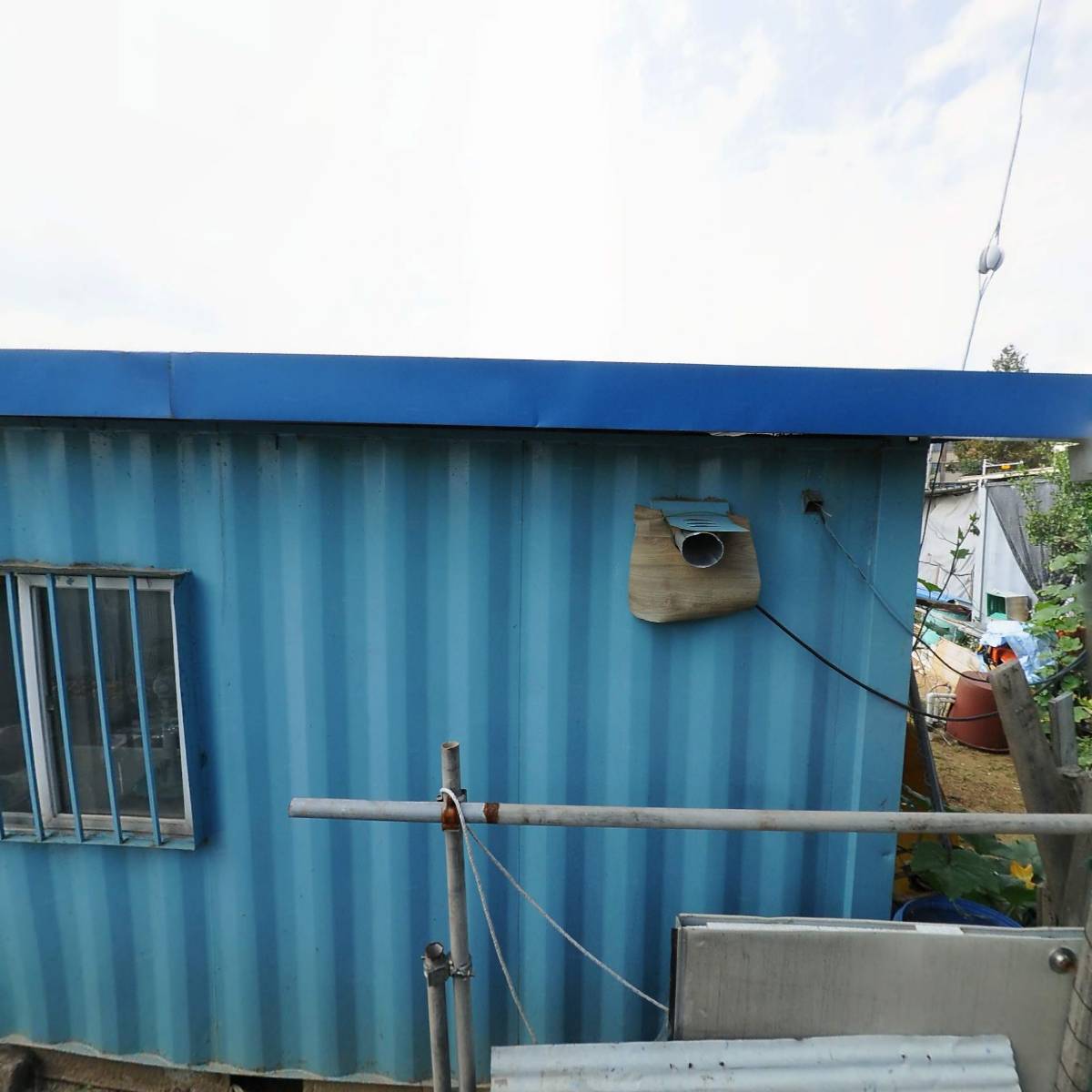 시흥시야생동식물관리협회