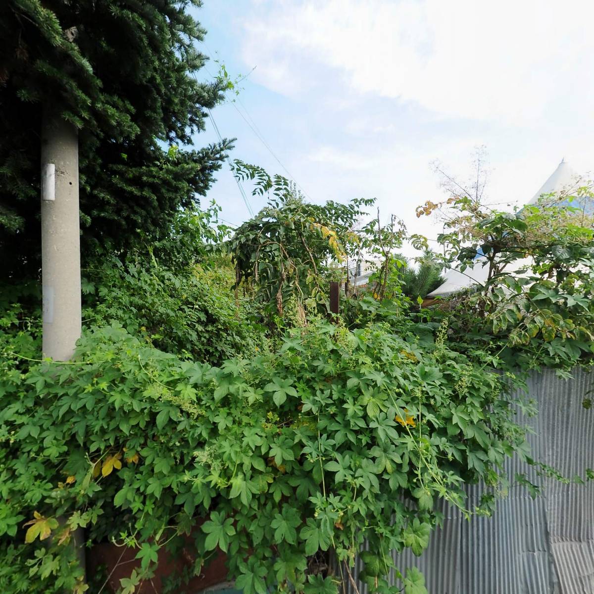 시흥시야생동식물관리협회_3