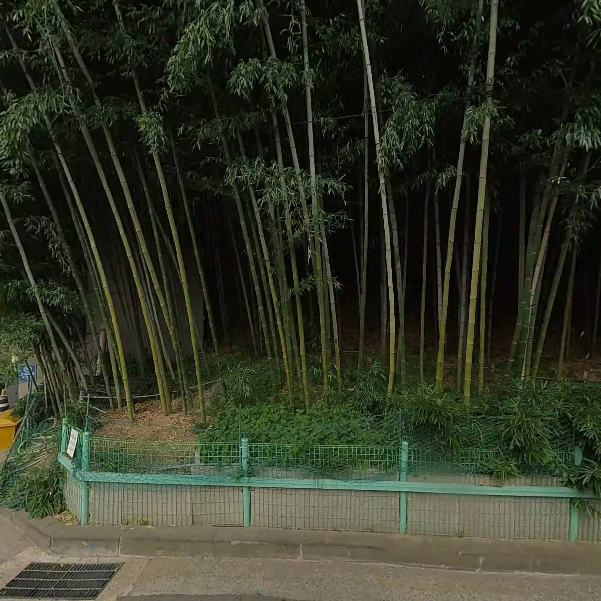 (학)횃불학원_3