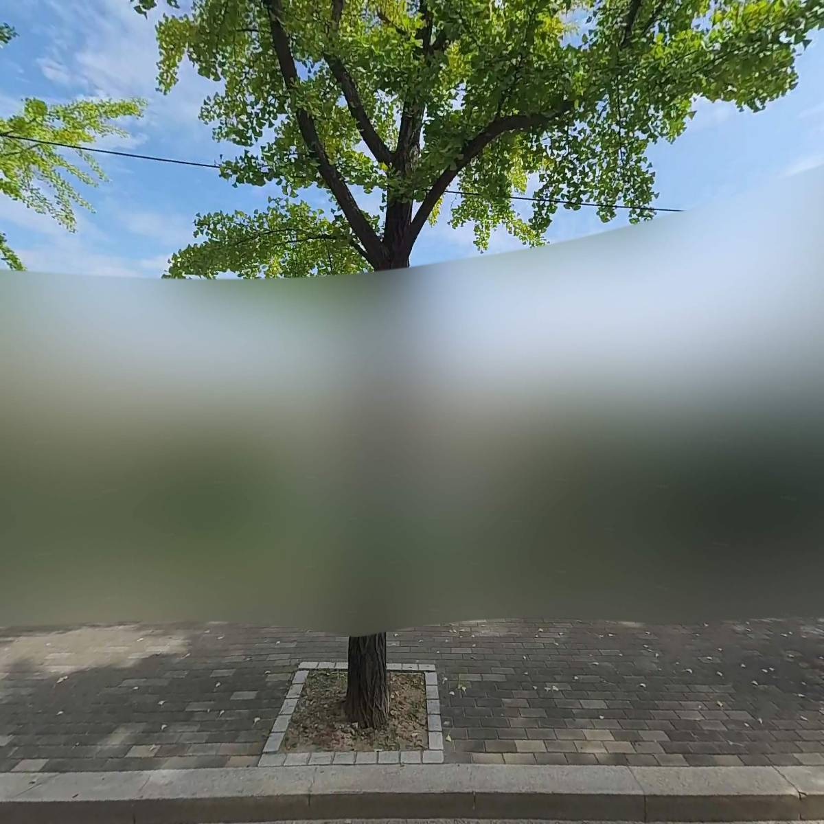 모아무역