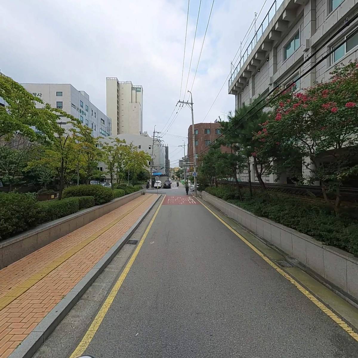 대한불교조계종 불광사_2