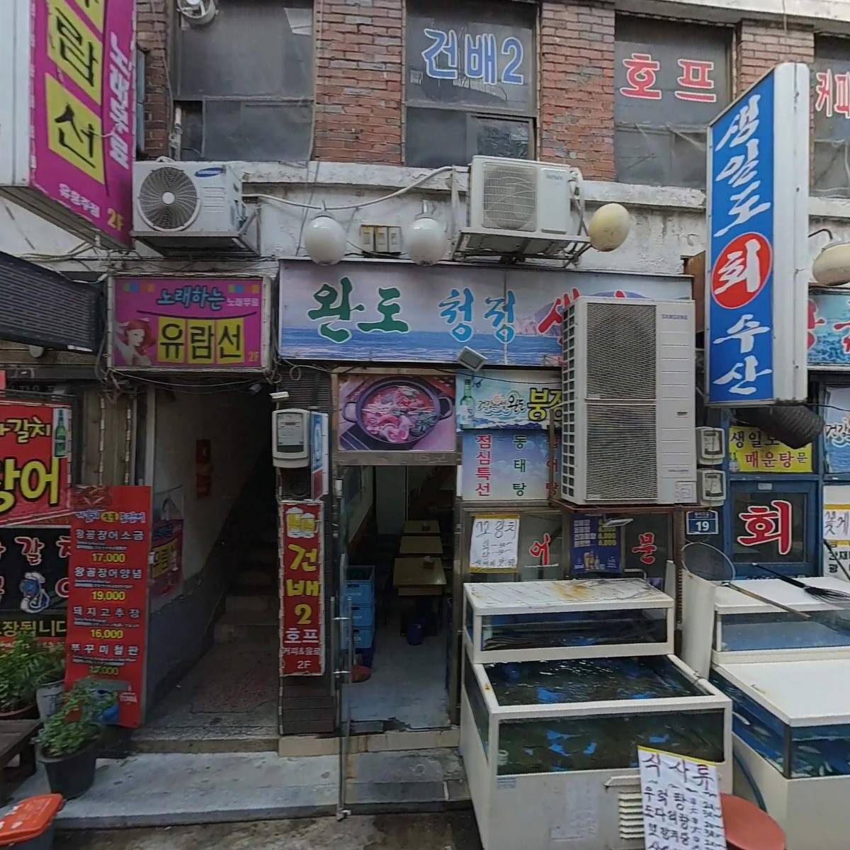 생일도_3