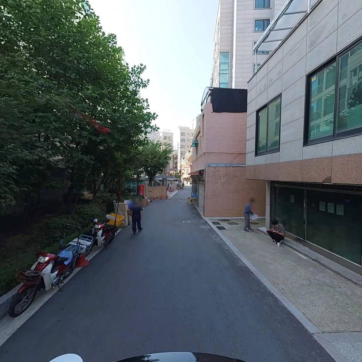 커브드 마카롱_2