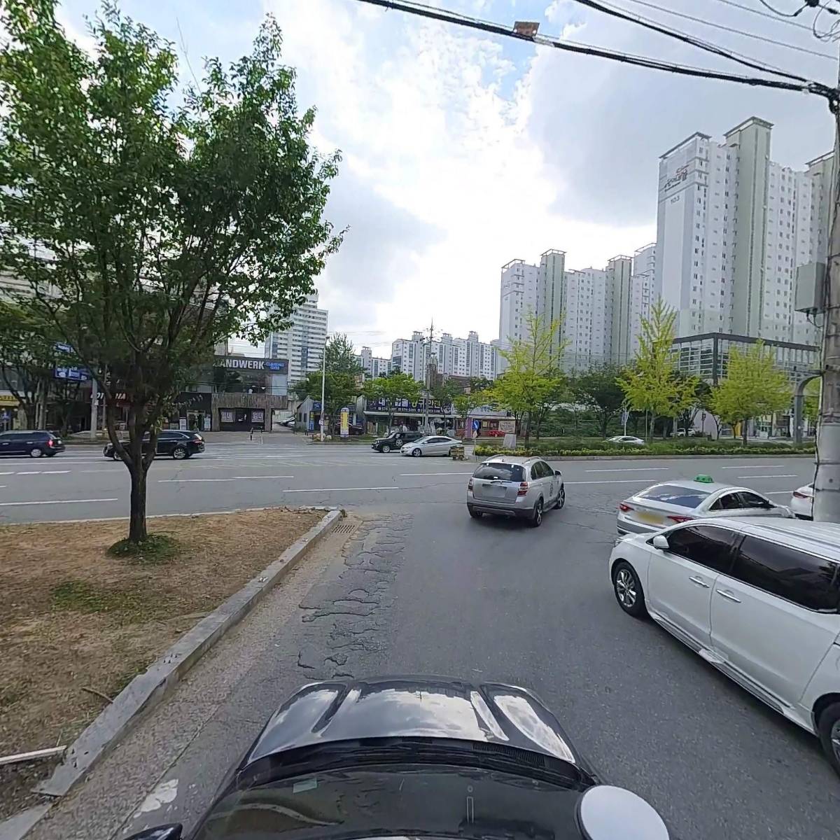 손정신건강의학과_4