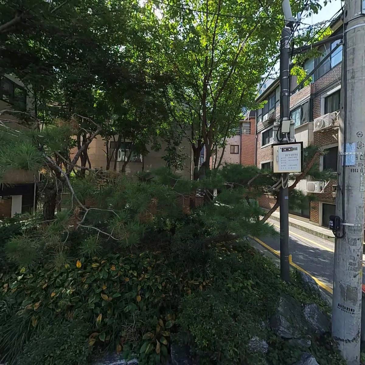 러블리 퍼피