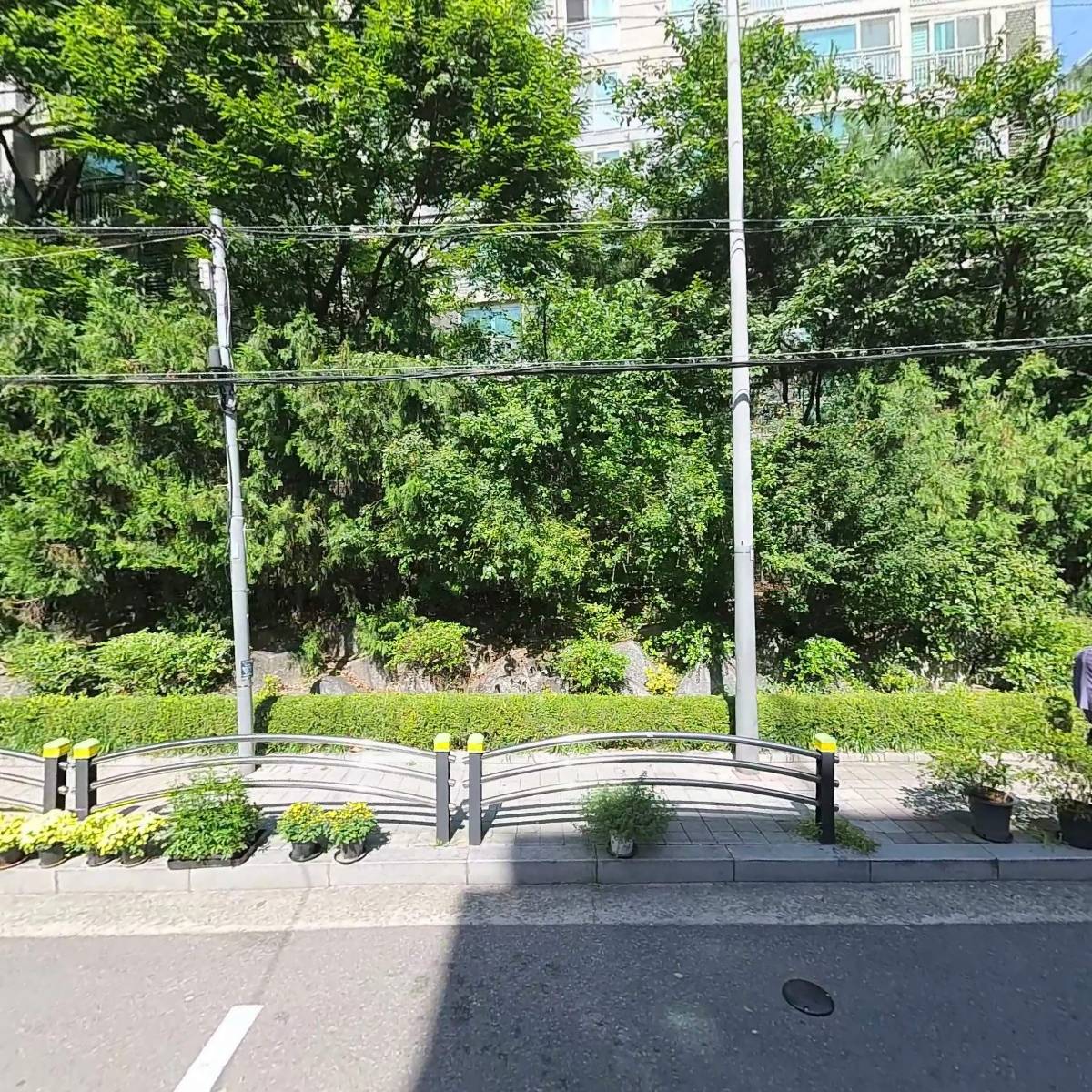 피노스튜디오