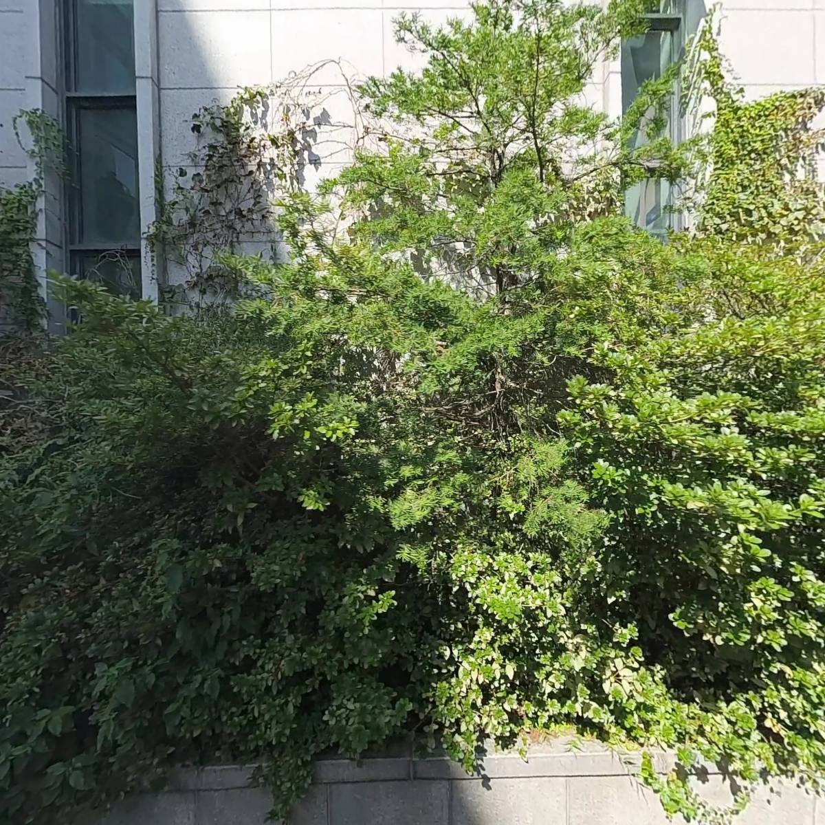 (주)에이치젠바이오_3