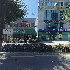 가로수헤어