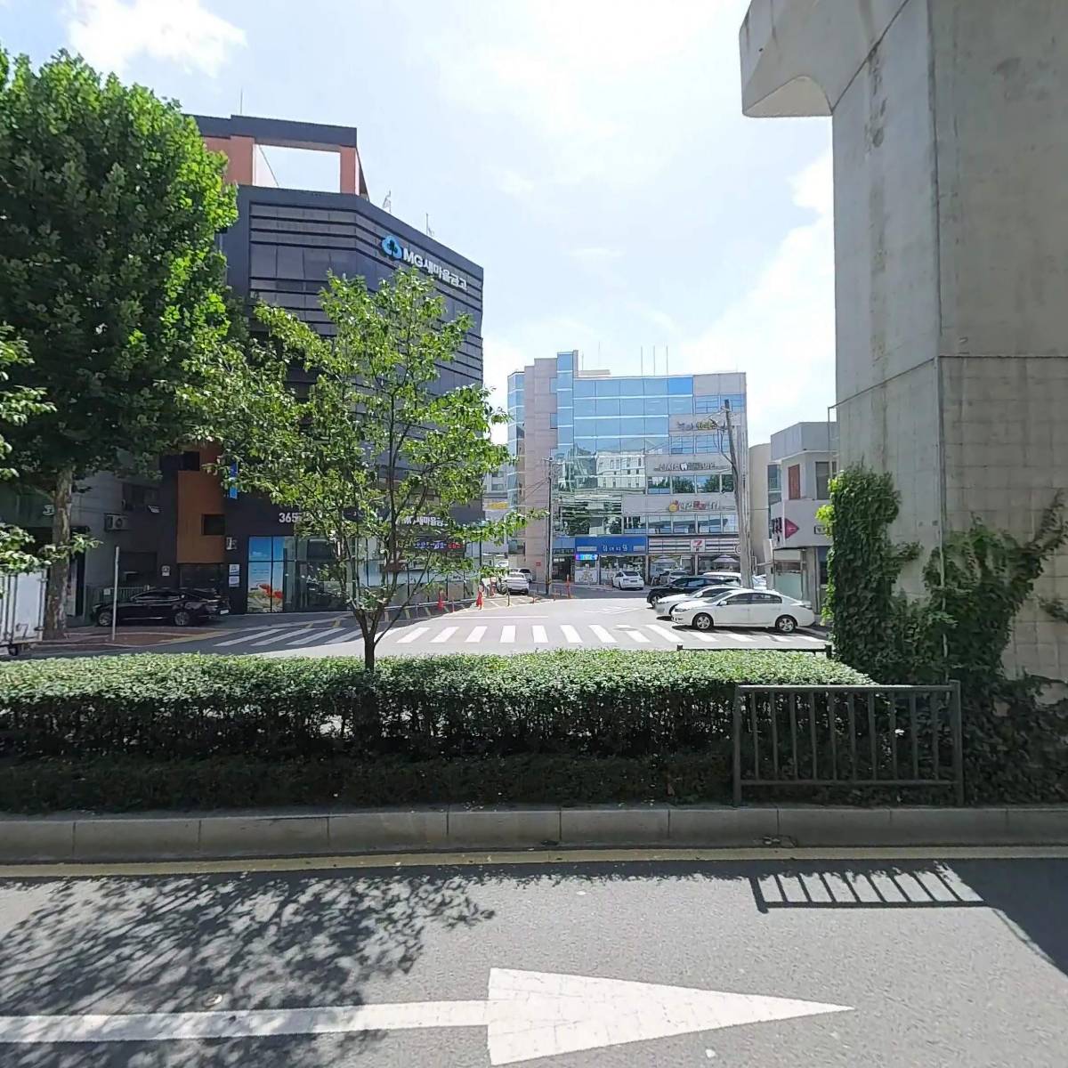 대구동물심장내과_3
