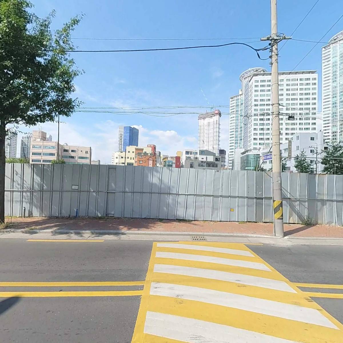 필코드 웨딩 본식 스냅_3