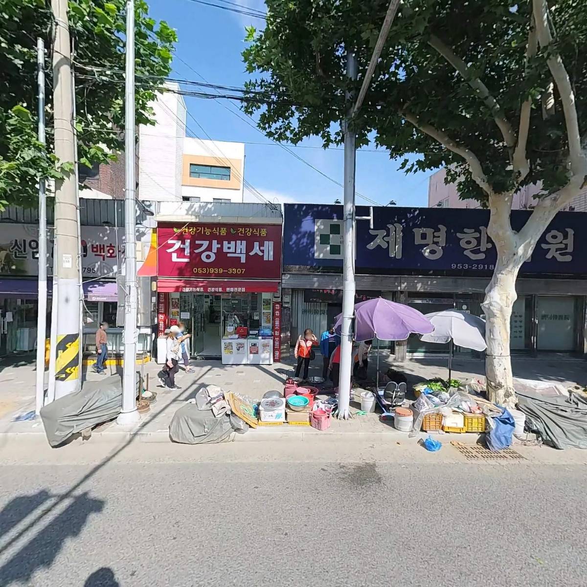 민들레약국