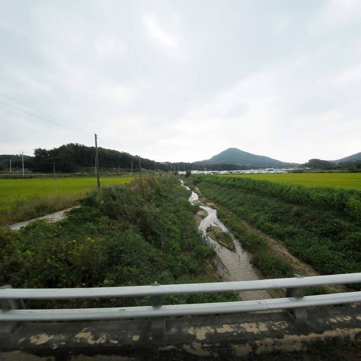 언라이벌드