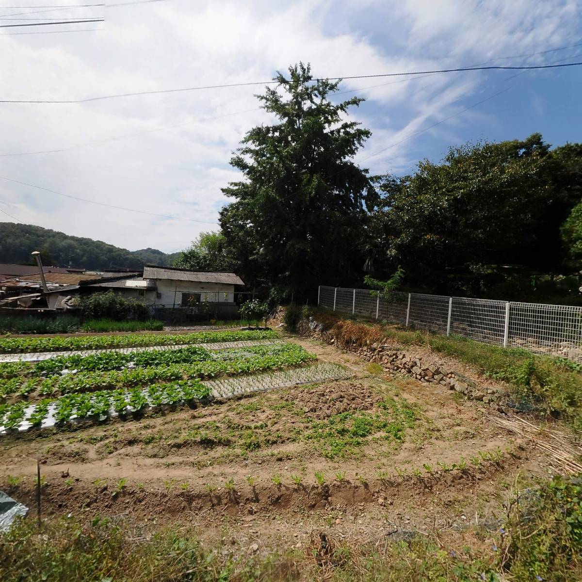 이천시네마뮤직_3