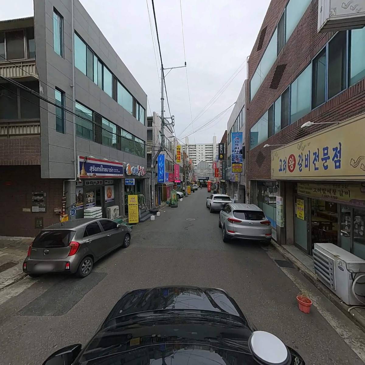 벌떼둥지_4