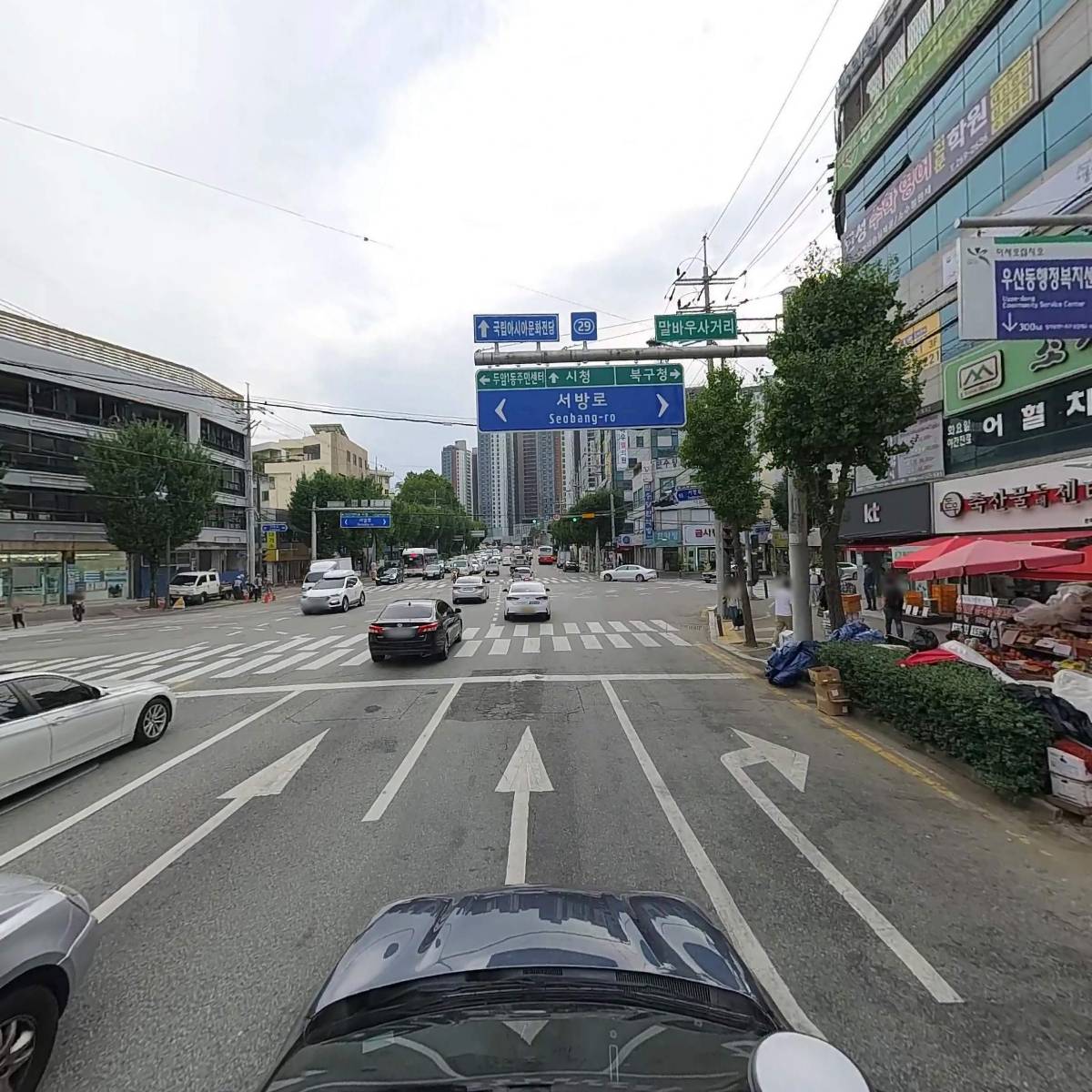말바우동물병원_4