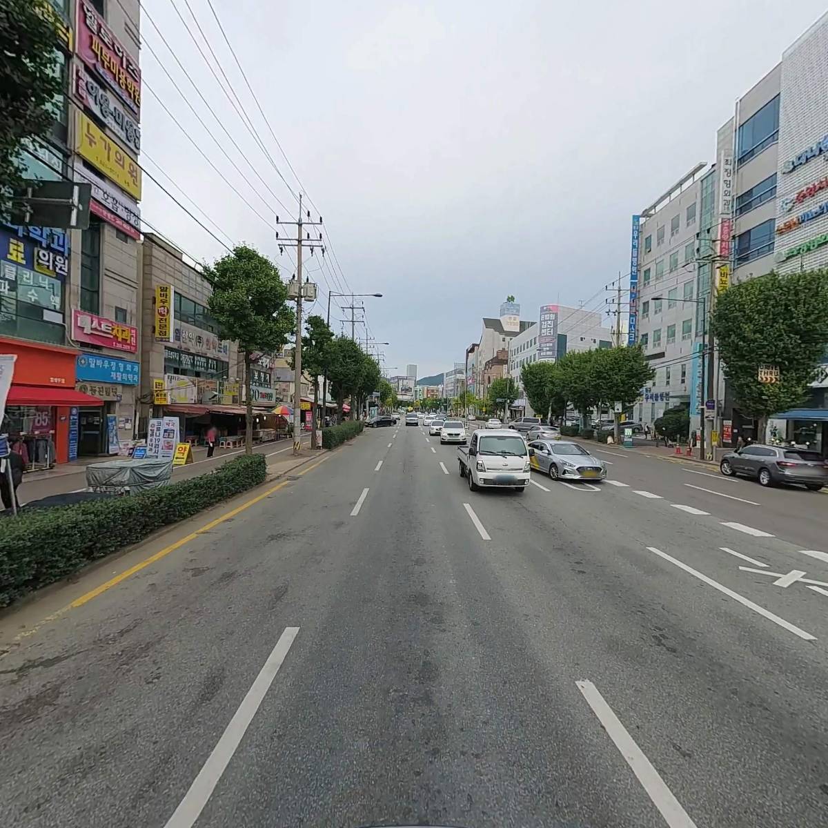 말바우동물병원_2