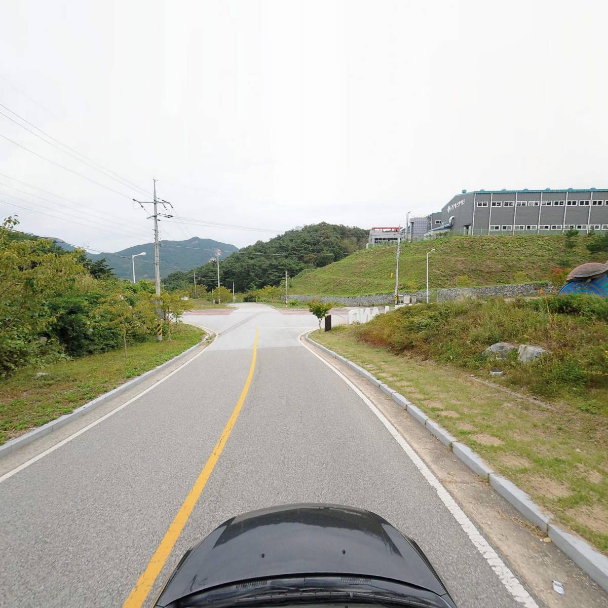 농업회사법인유한회사늘푸름_4