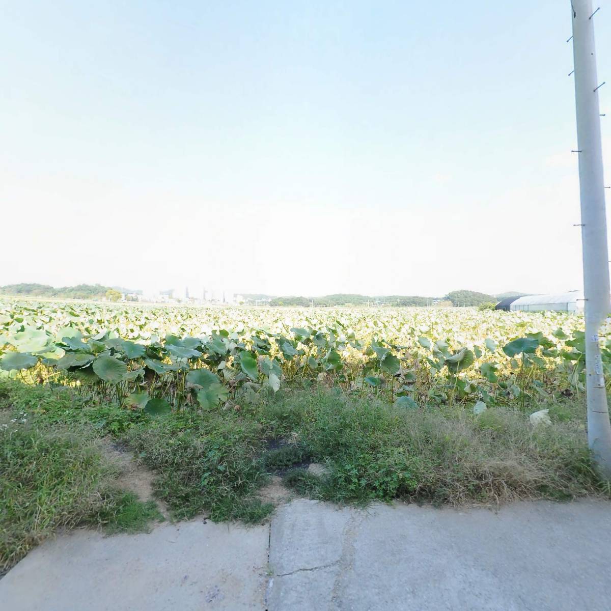 시흥연생산자 영농조합법인