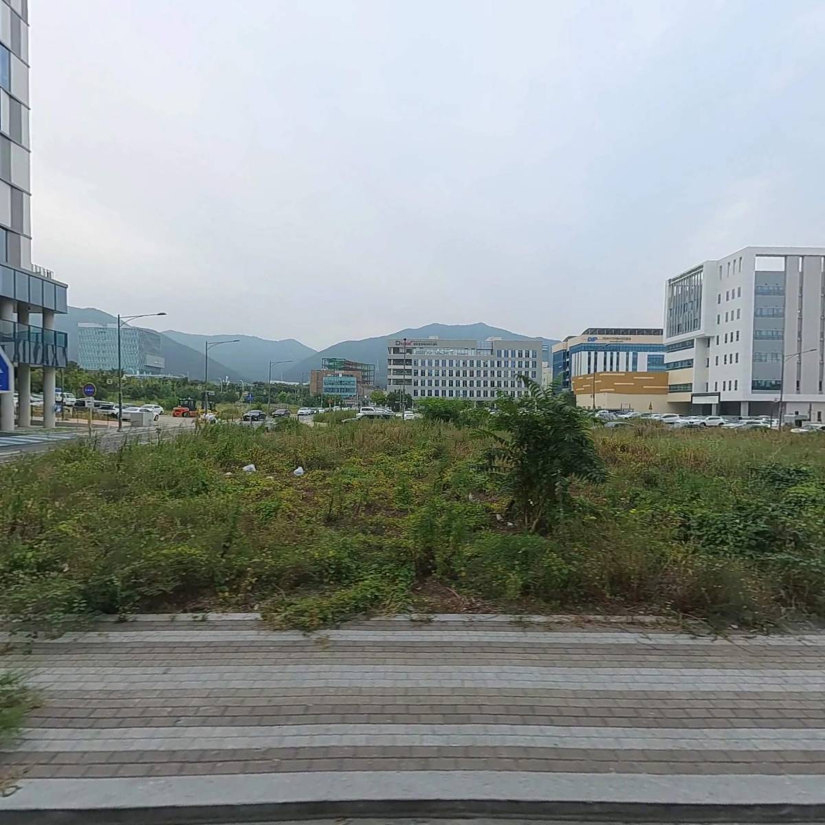 정복금