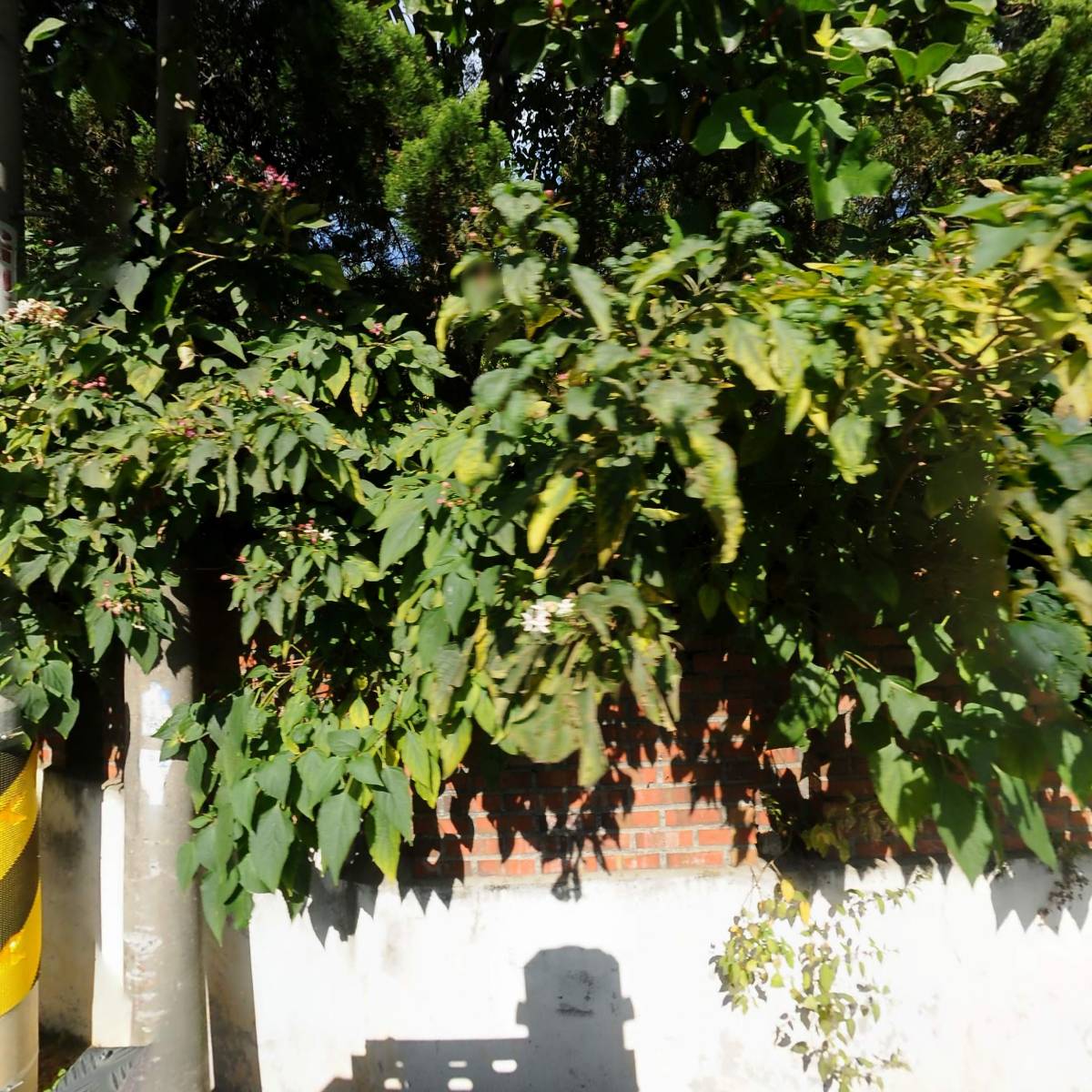 (주)일공이사에이원