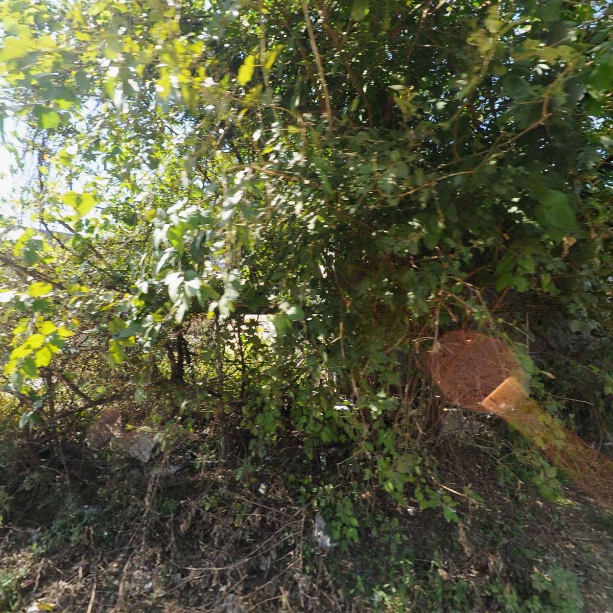 과림할인마트2