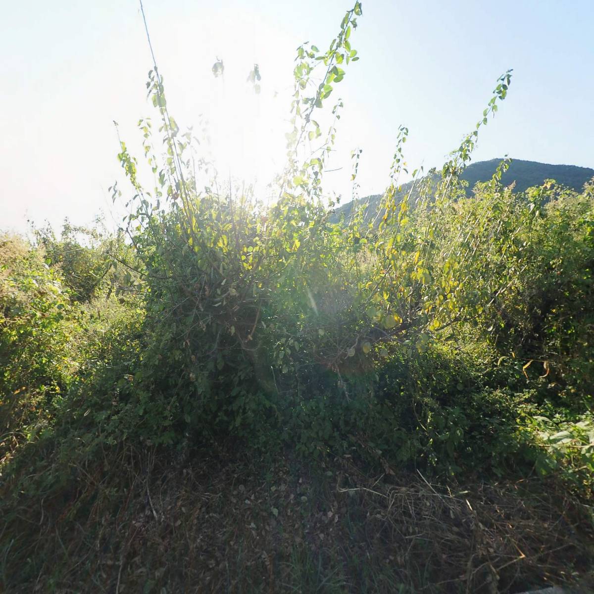 한국농어촌공사 순창지사