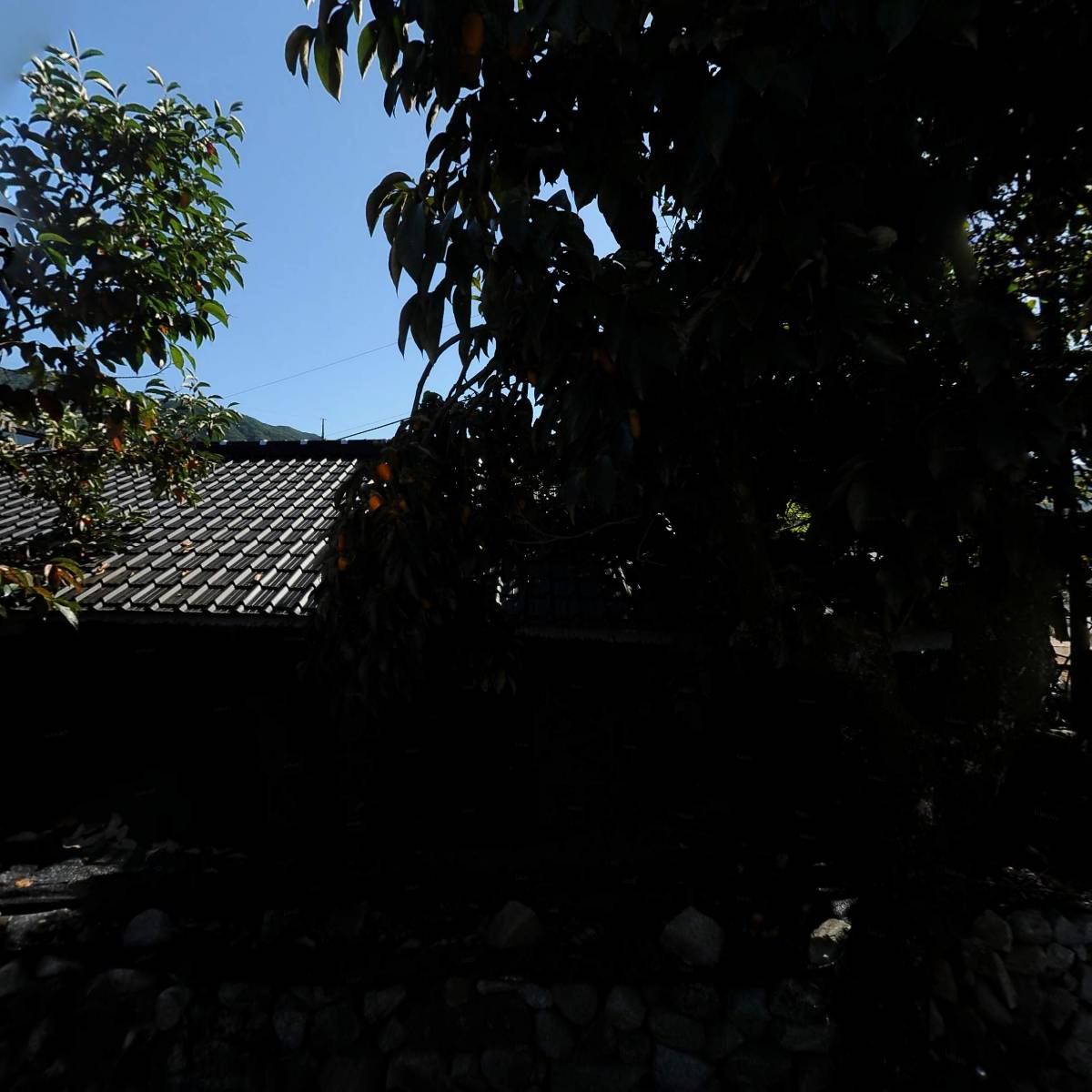사랑누리 (SarangNuri)_3
