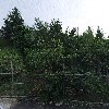 (주)도담에프엔디_3