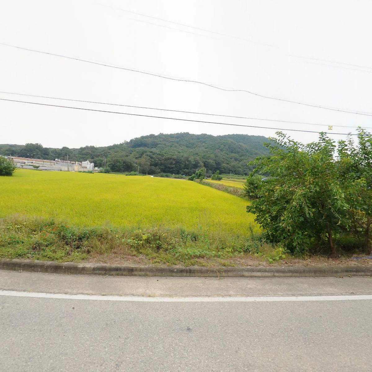 순창자연농원_3