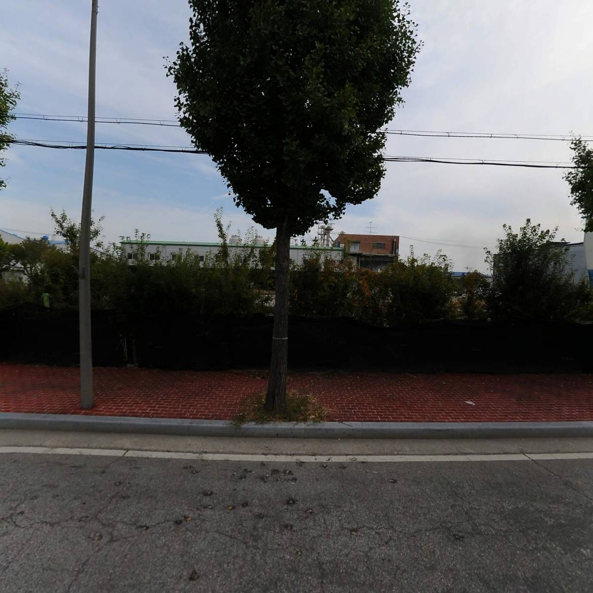 네츄럴스트림