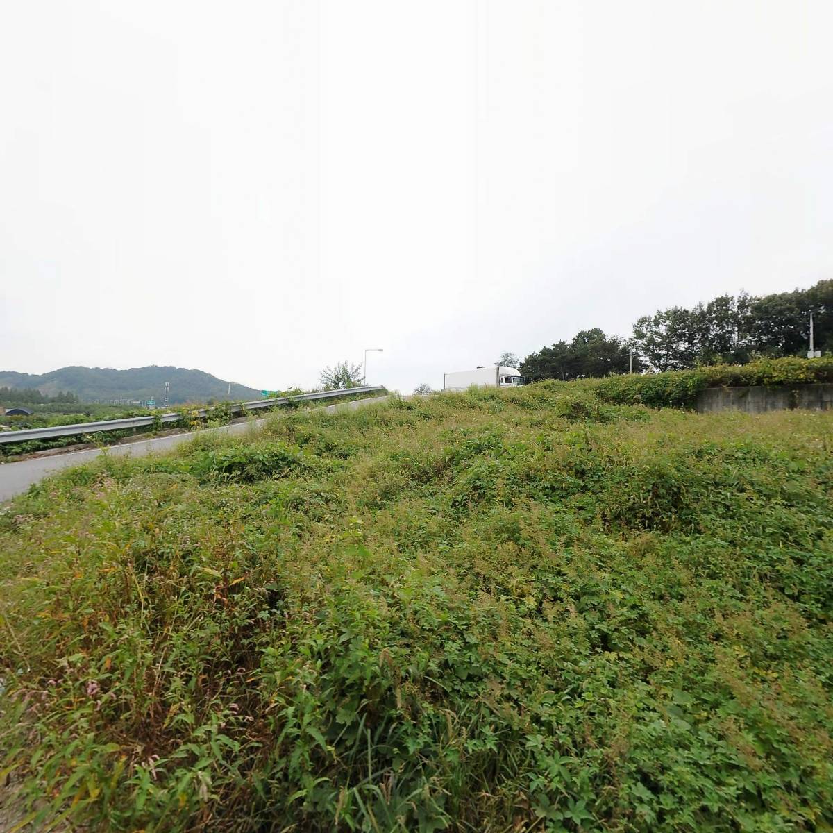 (주)삼호에너지 보동주유소