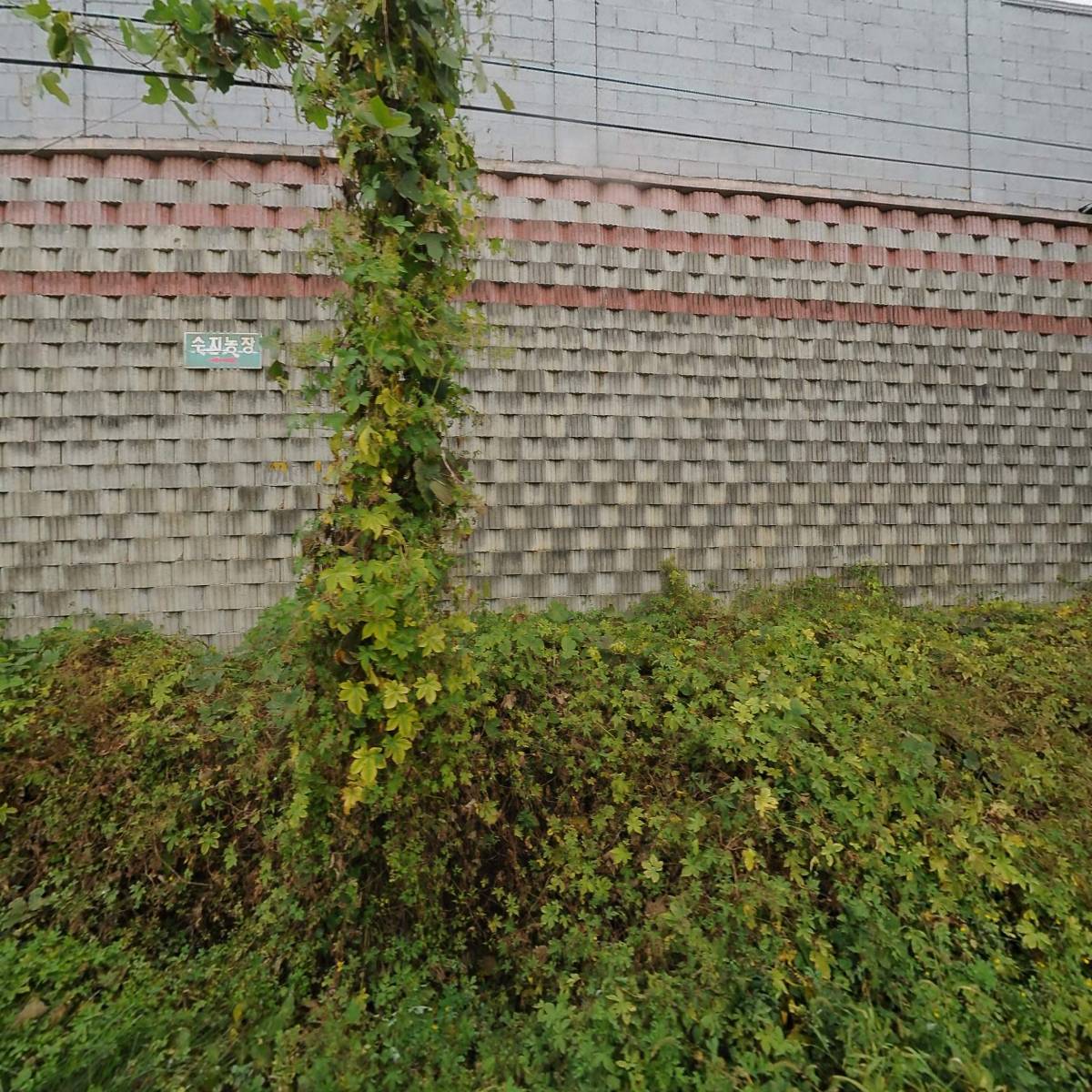 (주)삼호에너지 보동주유소_3