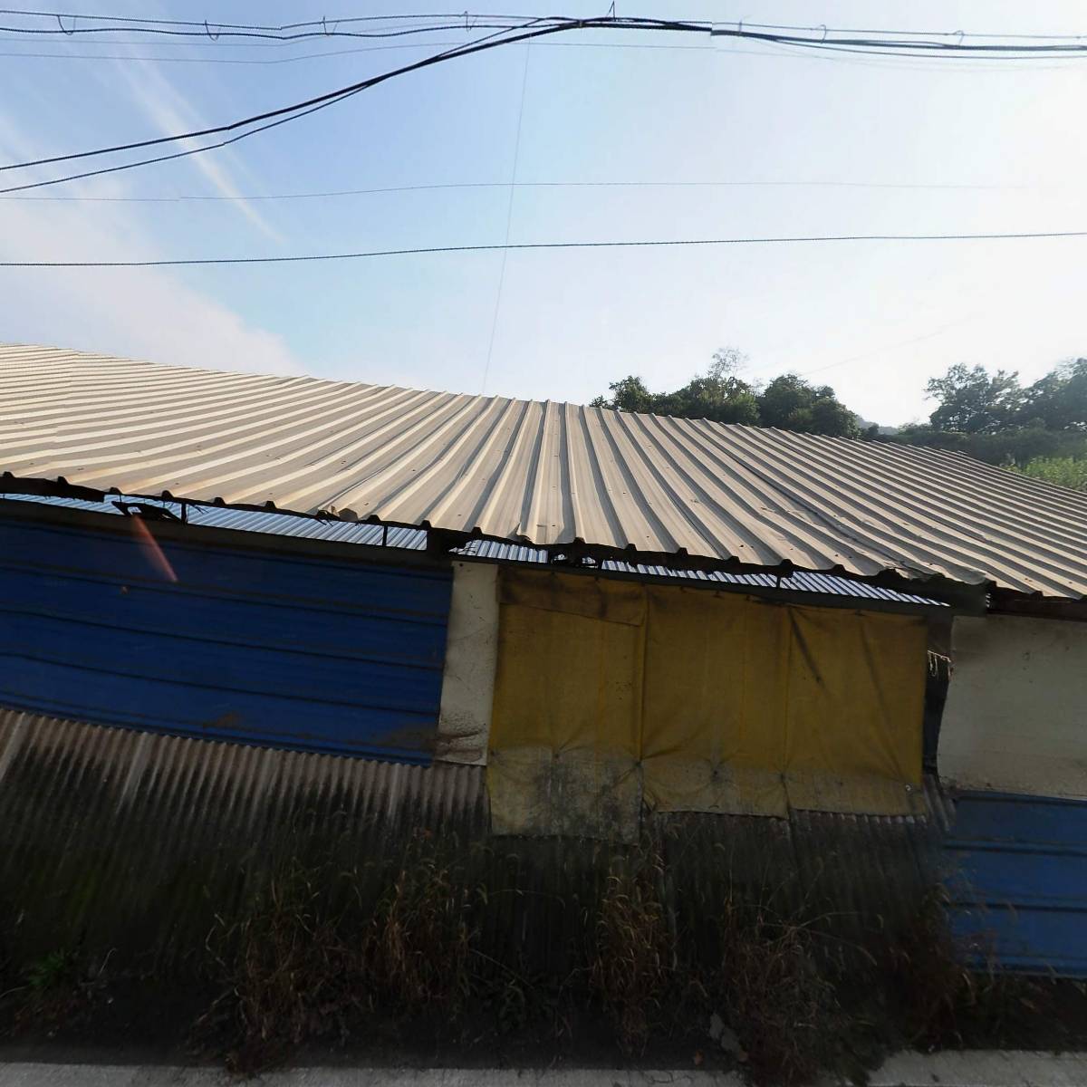 （주）동양이이씨