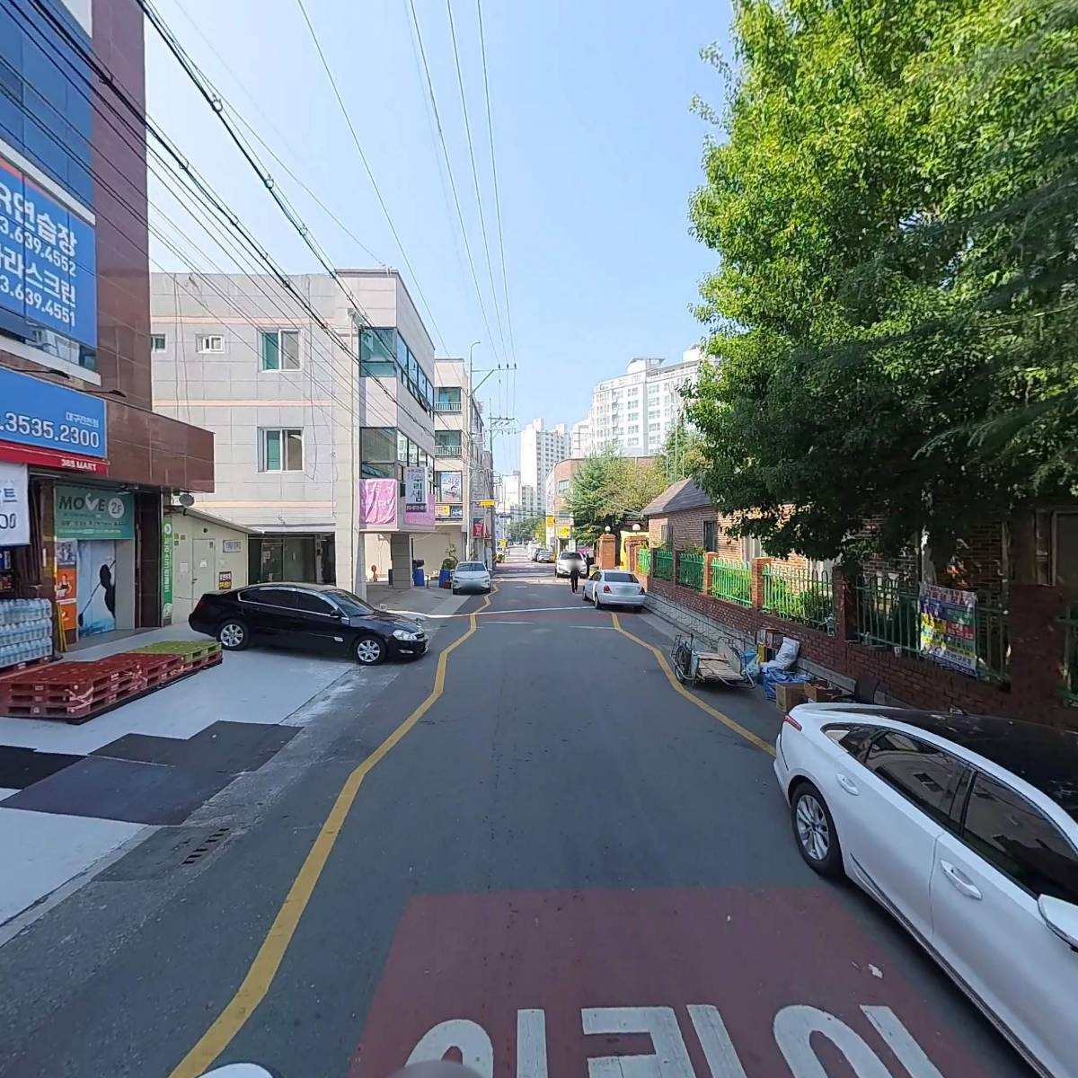 사라(SARA）_2