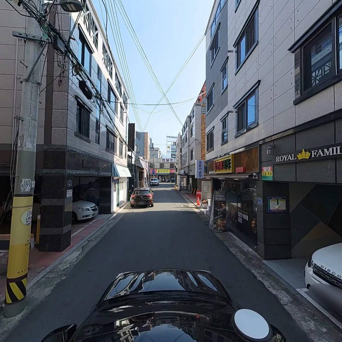 더블유와이(WY)컴퍼니마켓_4