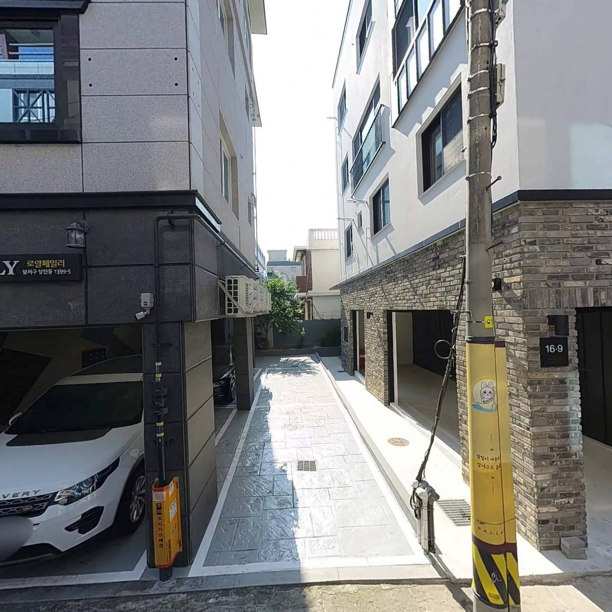 더블유와이(WY)컴퍼니마켓