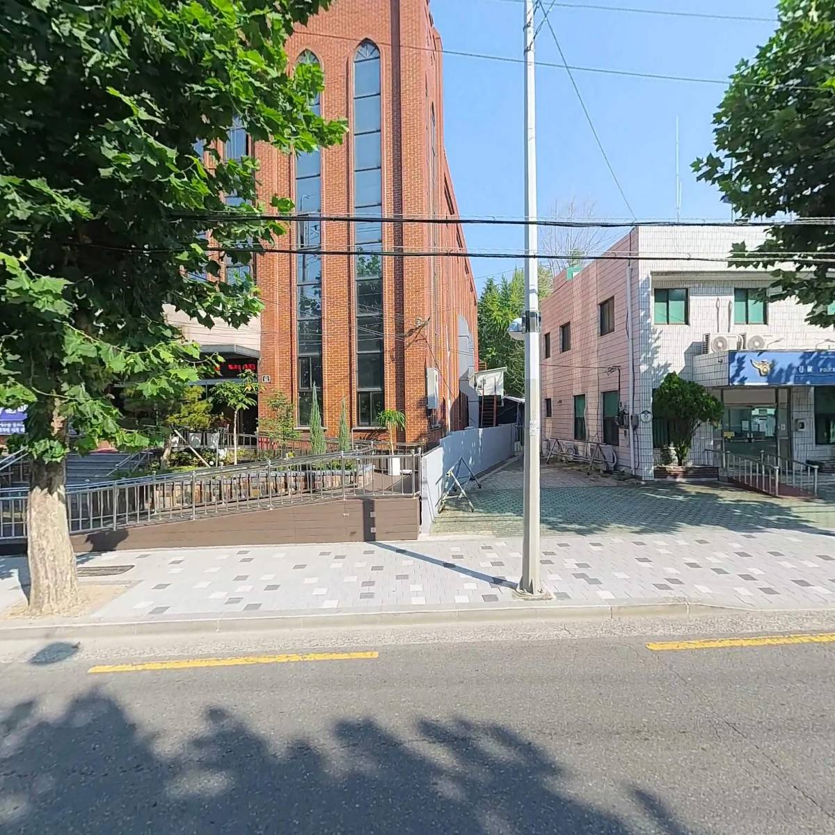 얀텍스
