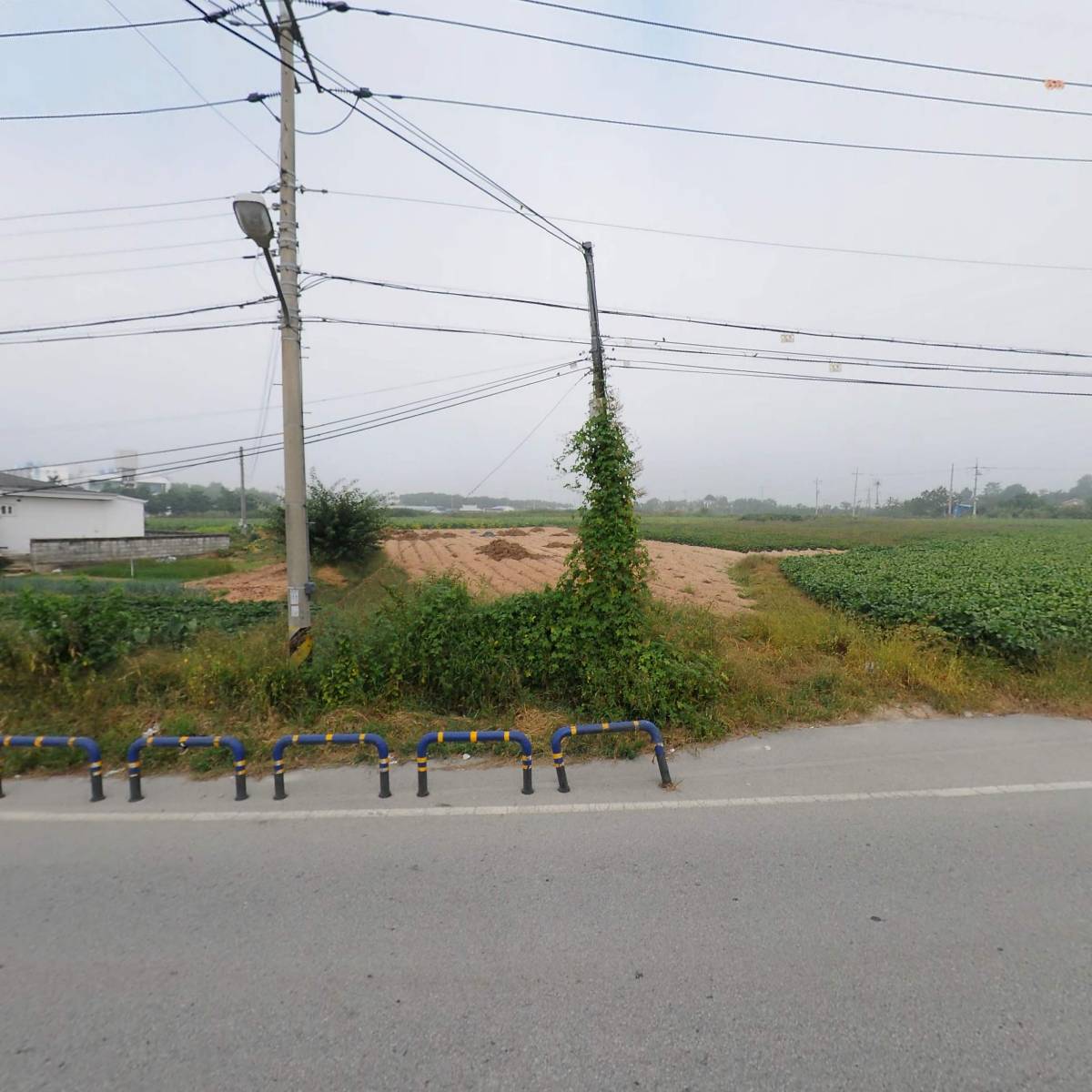 (유)제일수목원_3