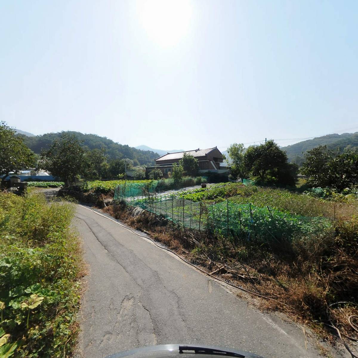 콩사랑_2