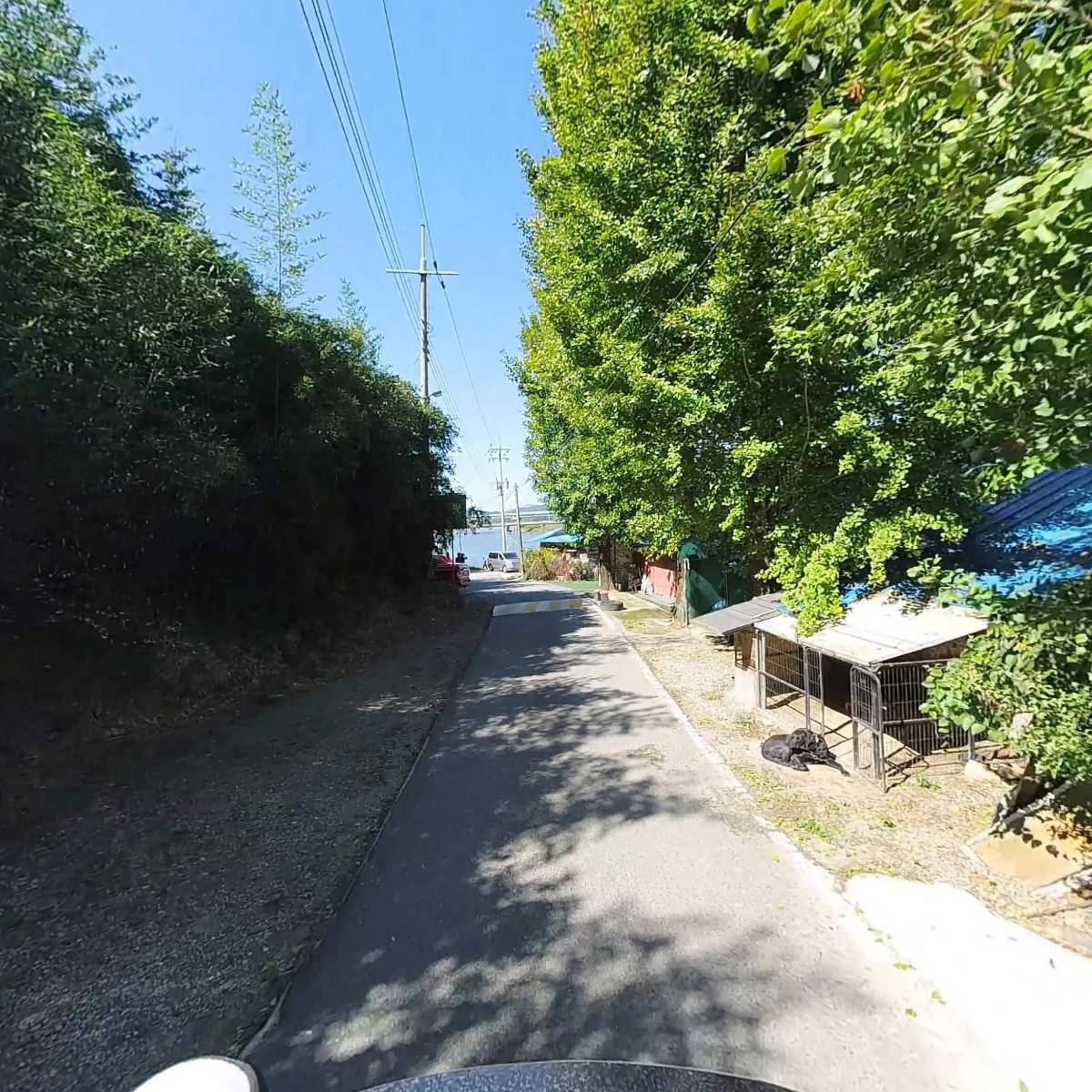 썬바라기_2