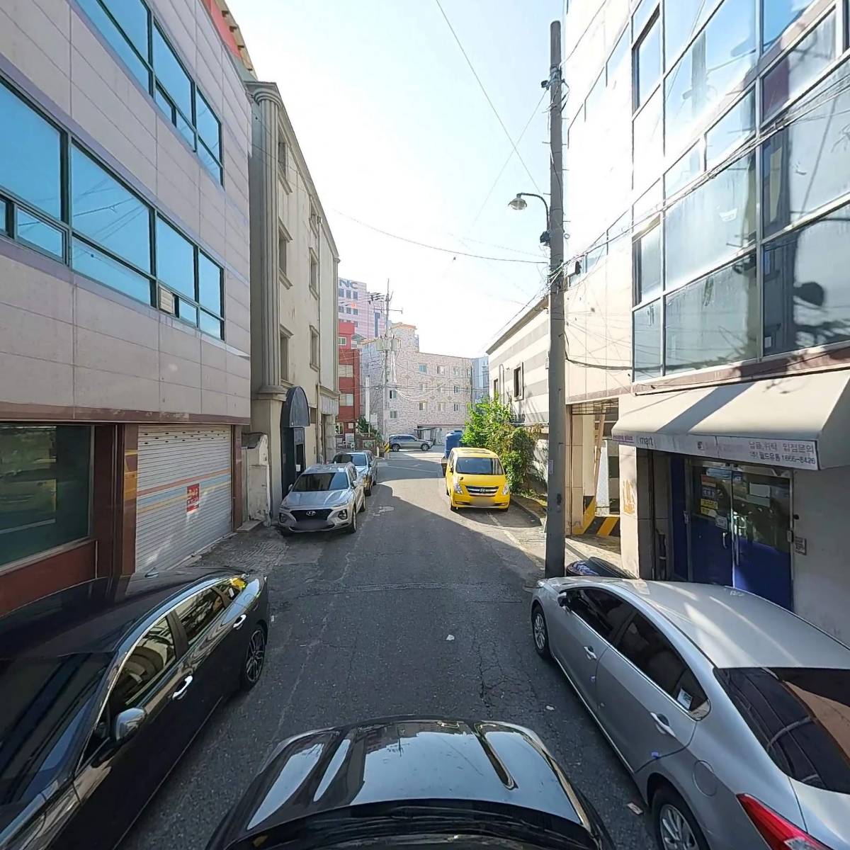 뉴위더스팜_4