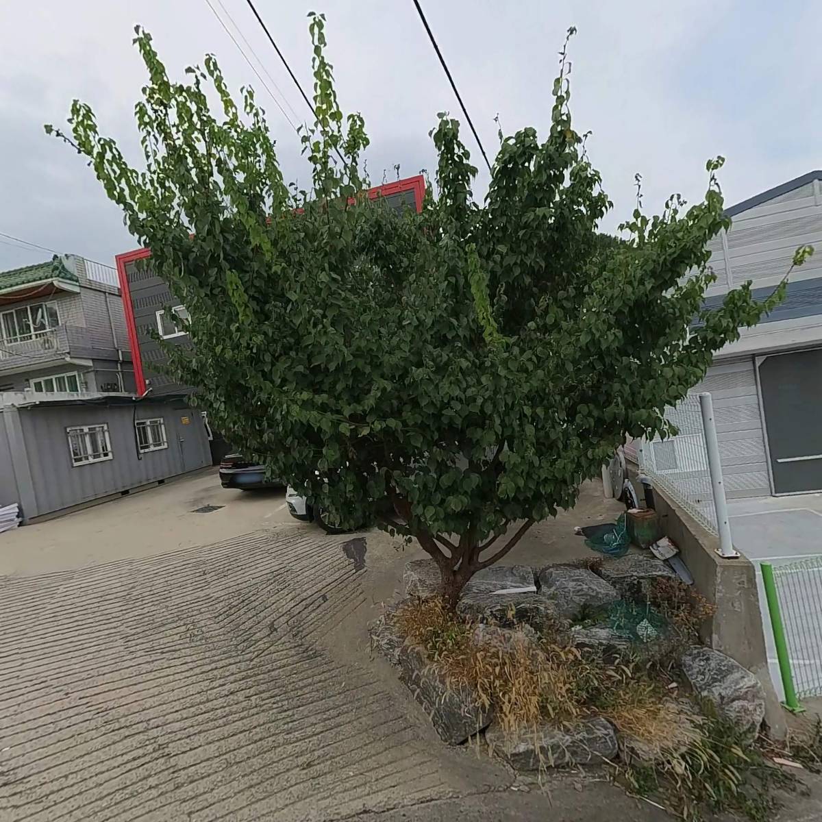 광진막창유통