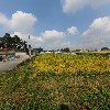 김제콩과해바라기 영농조합법인_3