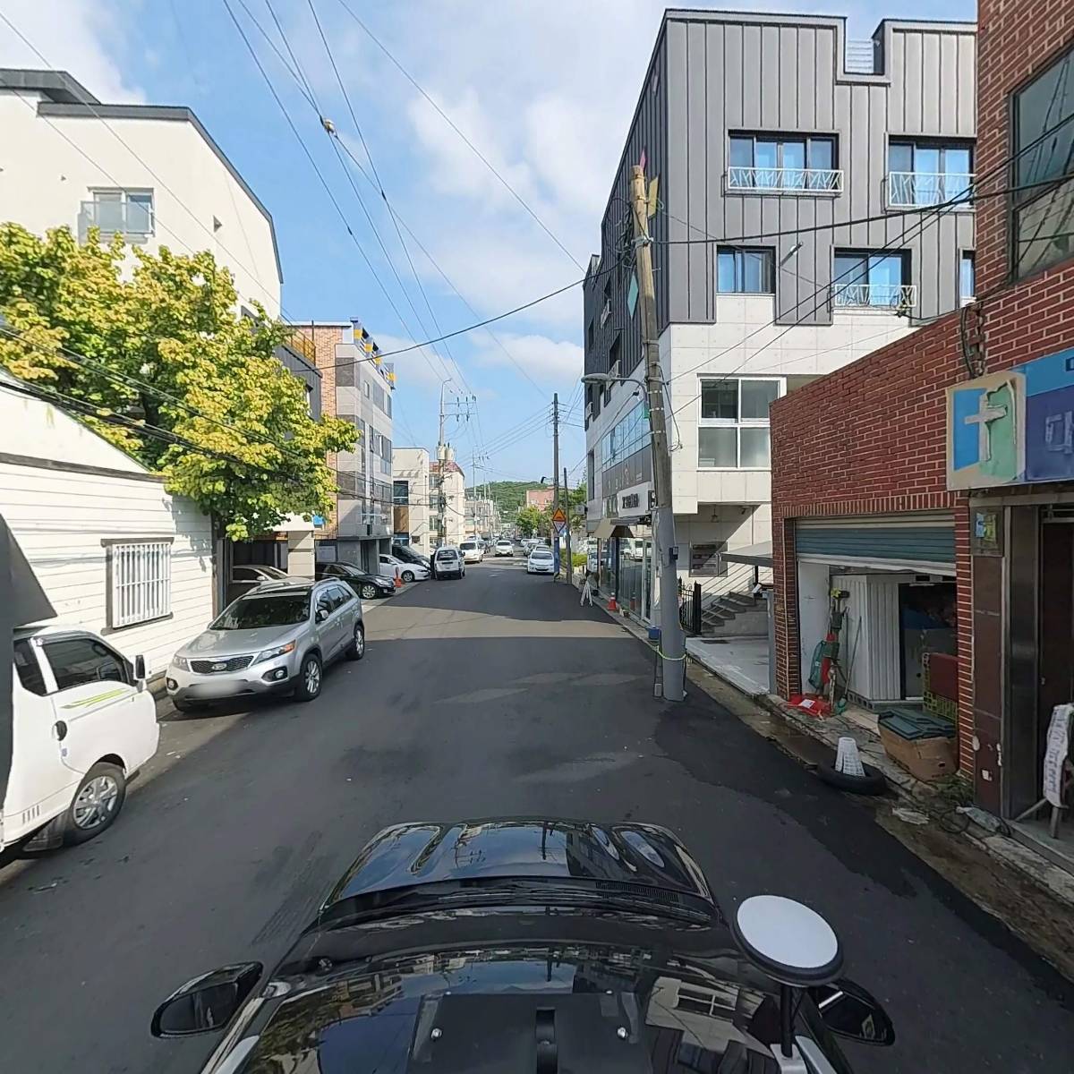 자이언트파마_4