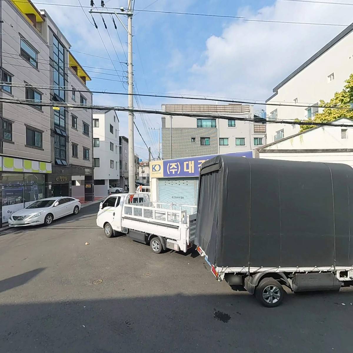자이언트파마_3