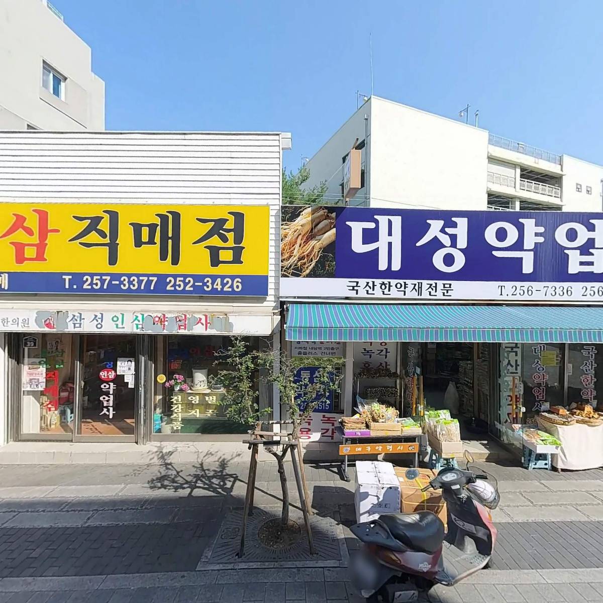 정코다리 반월당점