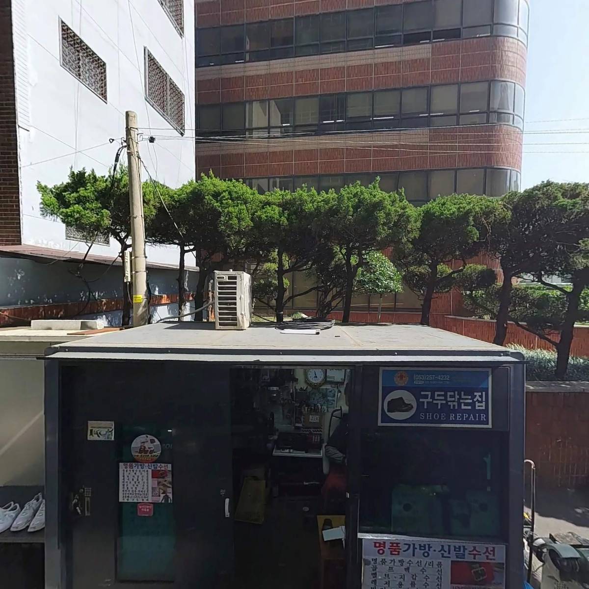 보나코스