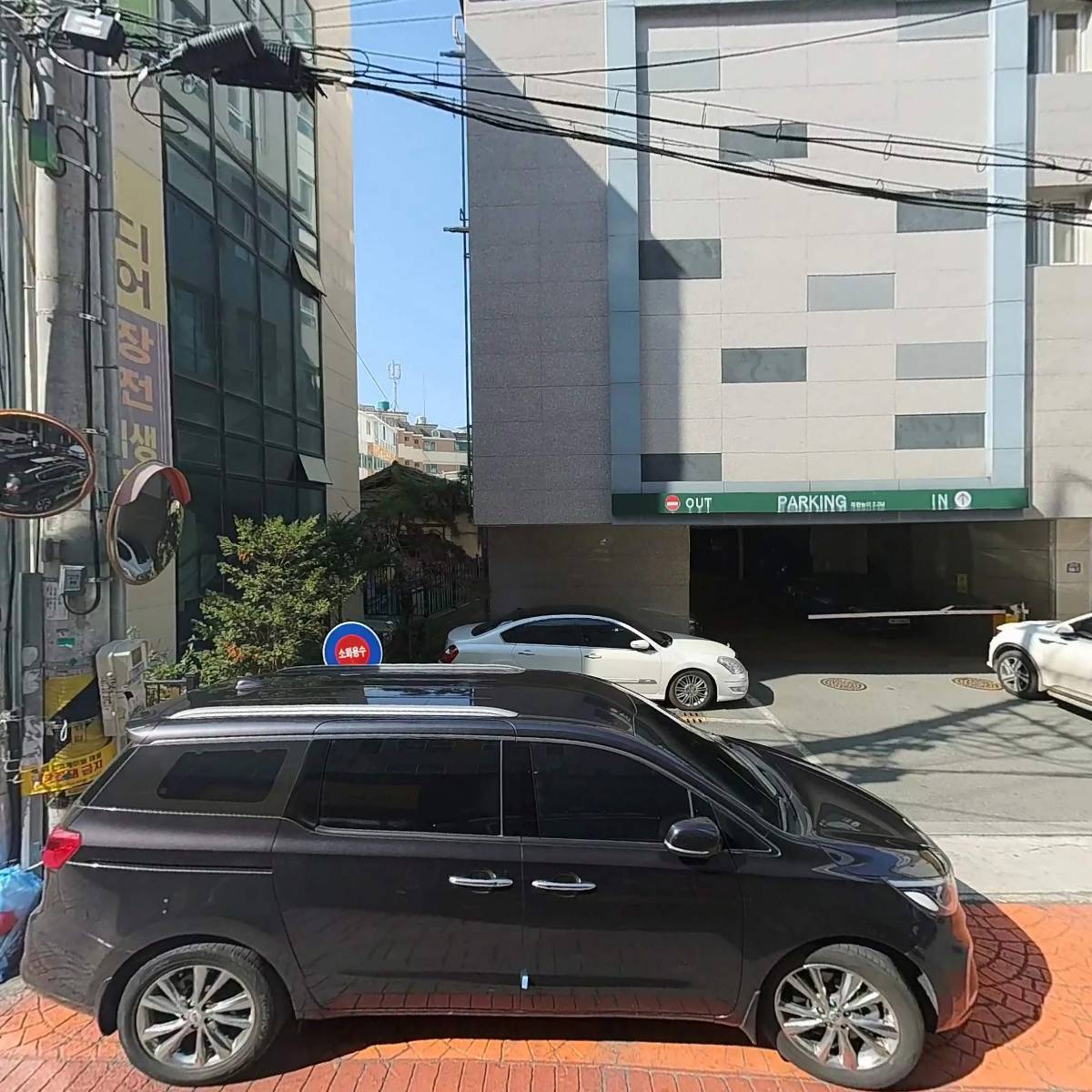 진큐러스(Jin Culus)_3