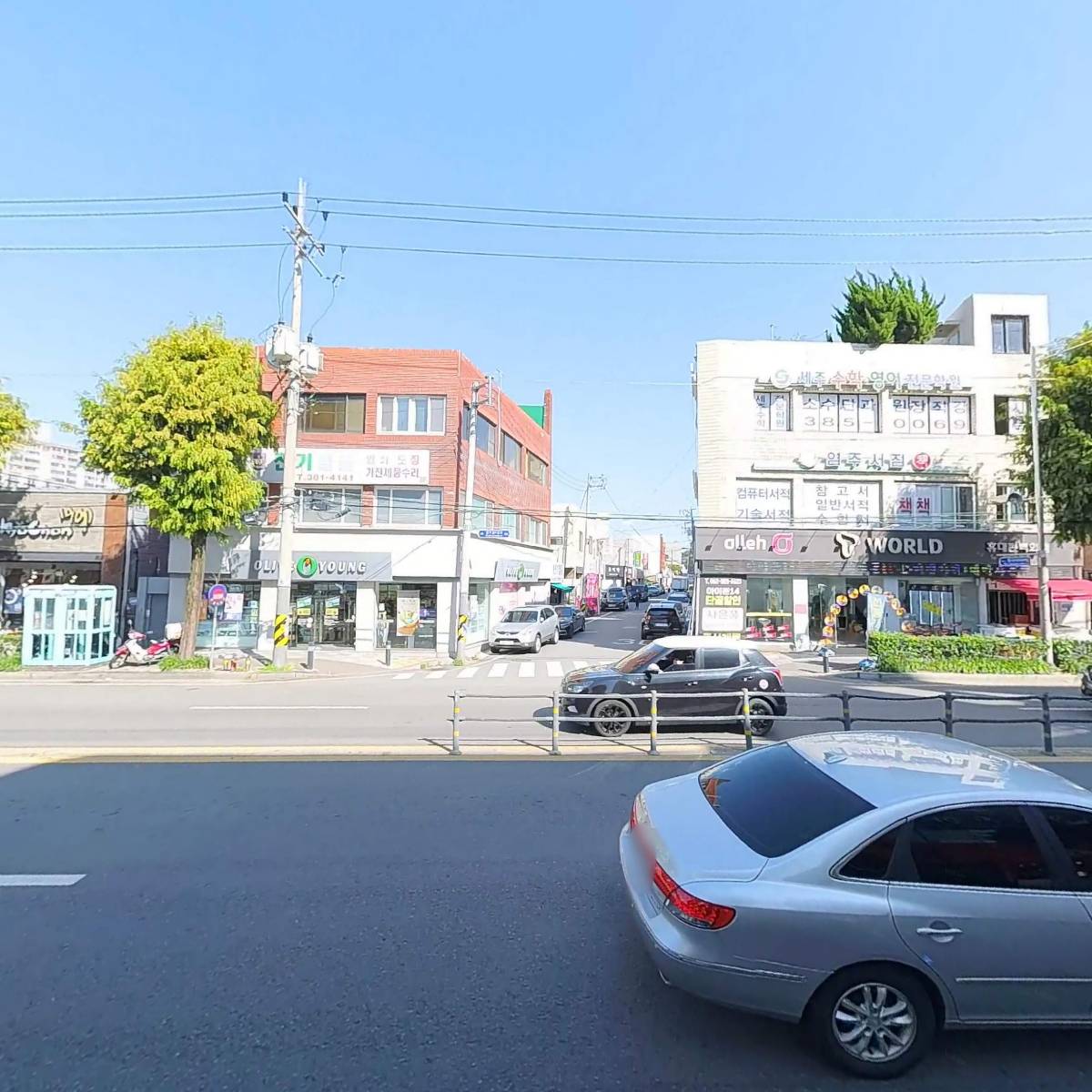 여성크로커다일화정점_3